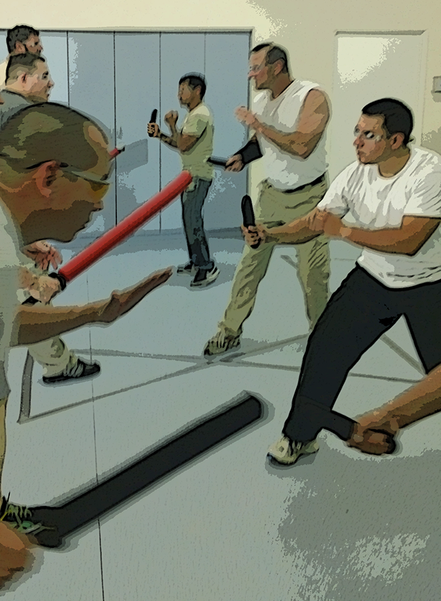 Combative Fighting arts Instructor Training